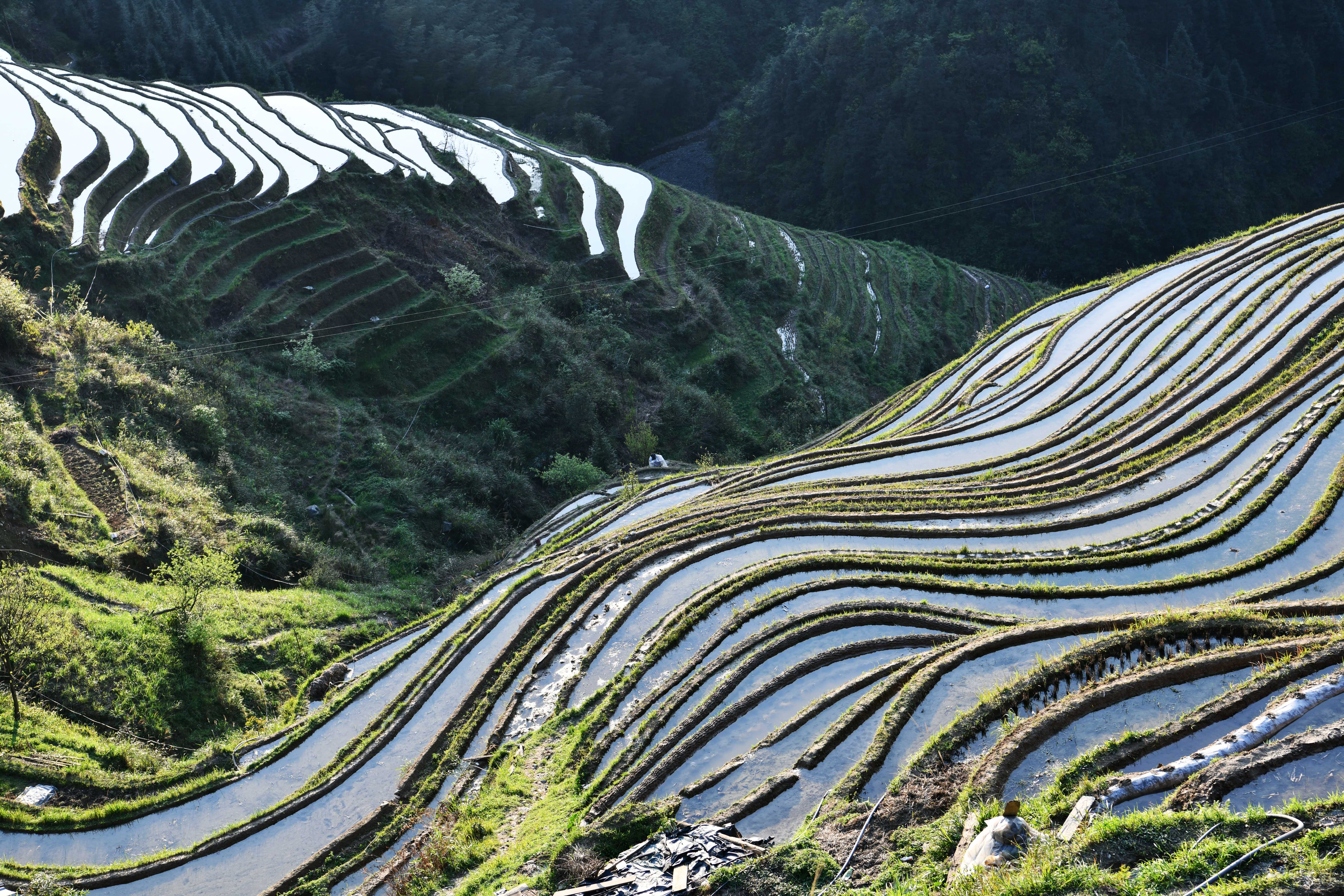 从江梯田风景图片