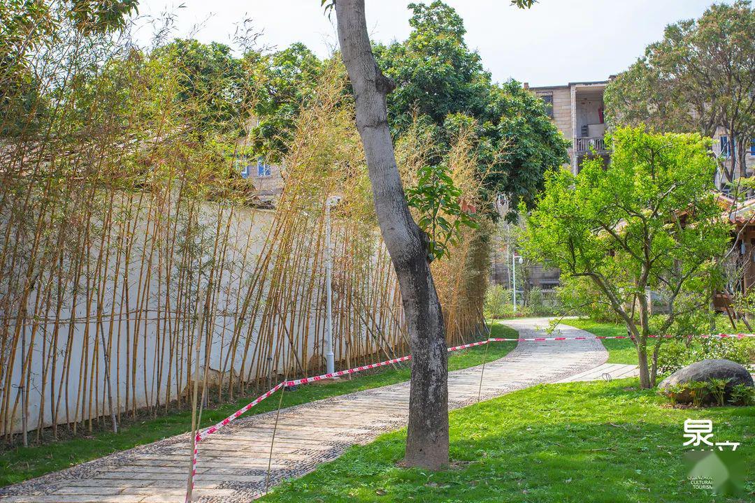 我在小山丛竹,梦回千年_泉州人