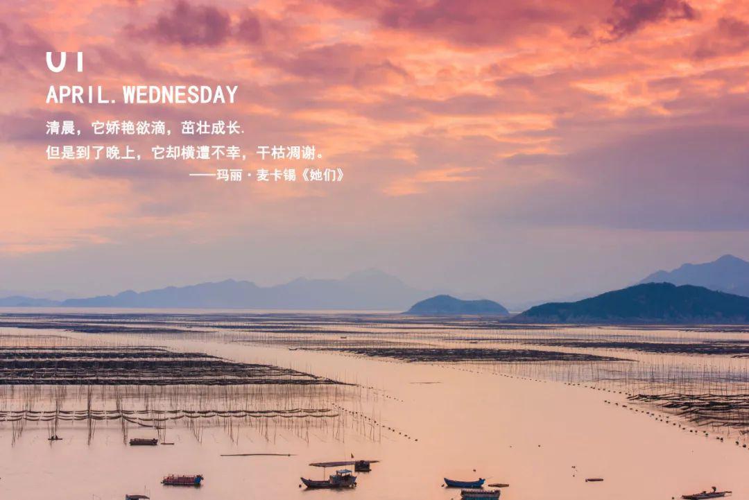 今日书语 i 良辰美景奈何天