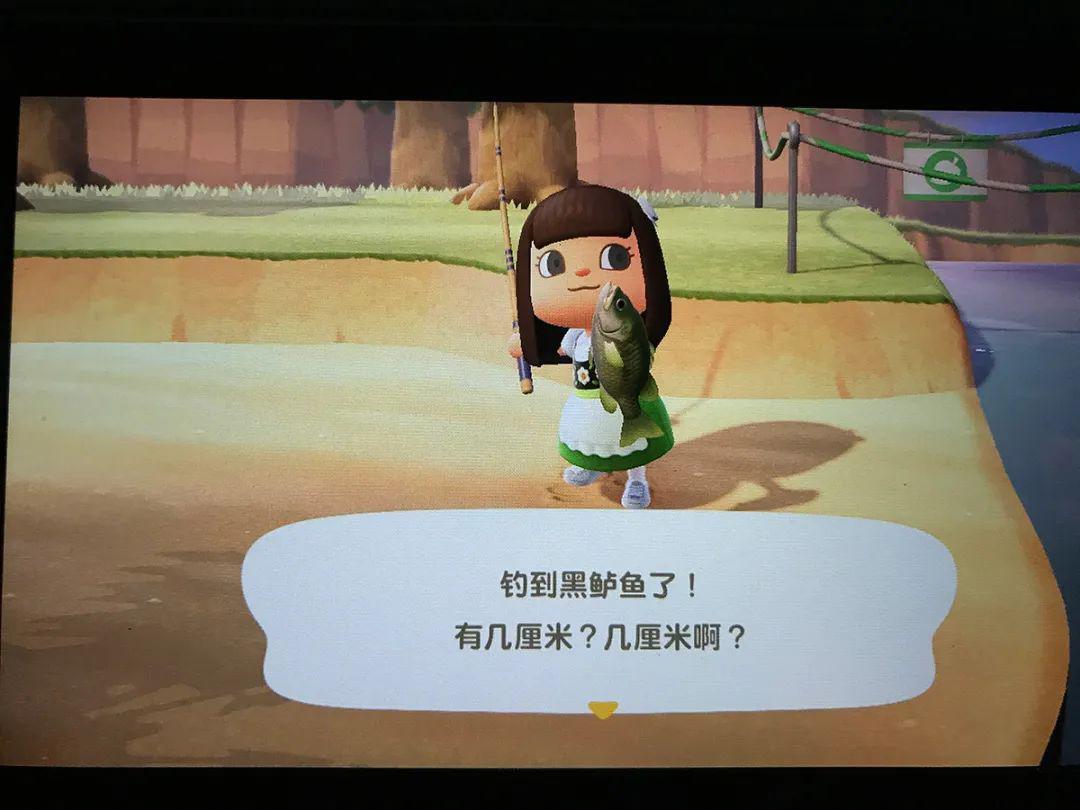 黑鲈鱼究竟有几厘米鲈鱼会不会在4月变更多动森的这些设定是魔鬼吗