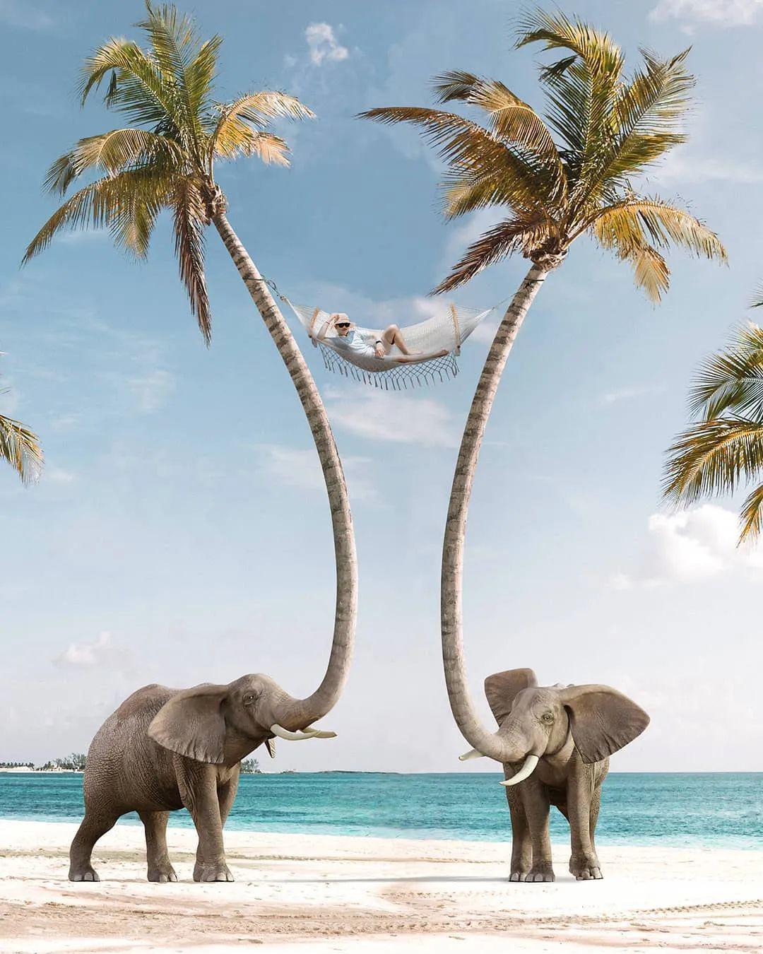 这种p图合成,太有意思了!