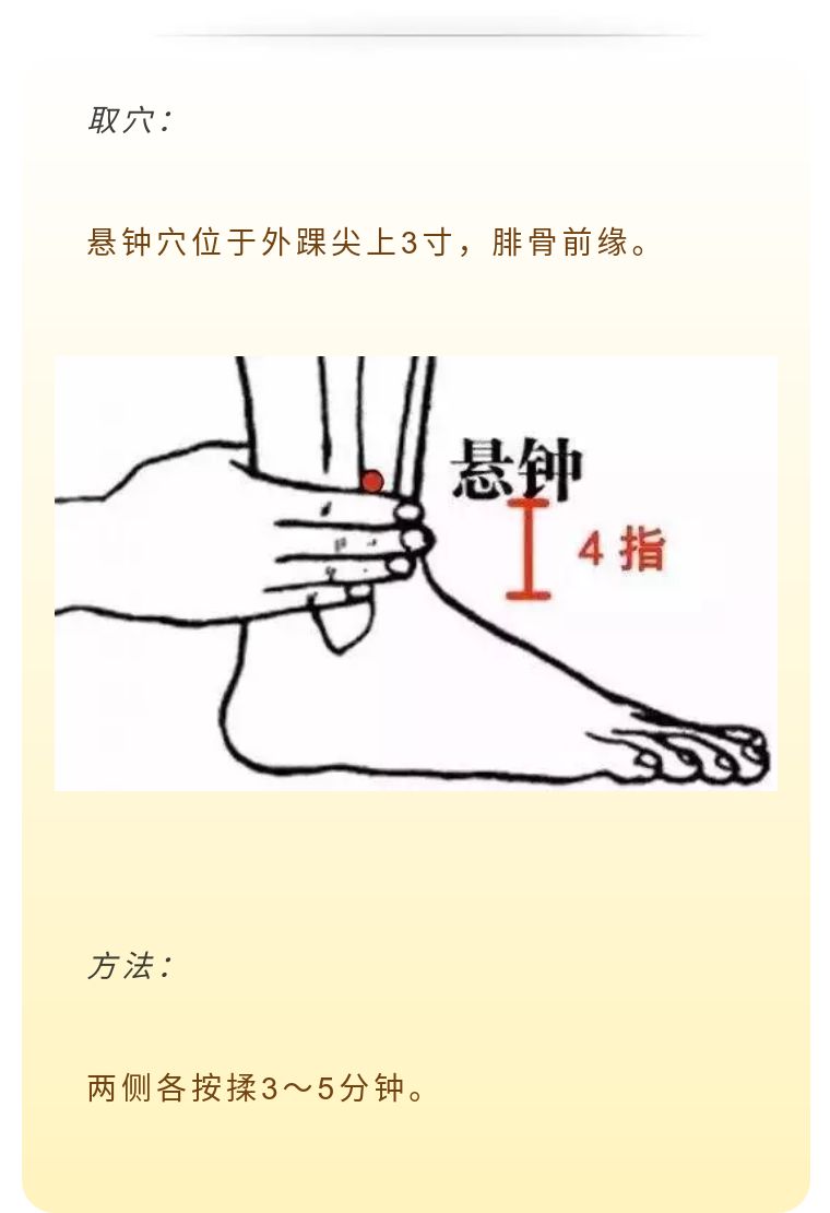 悬钟准确位置图和功效图片