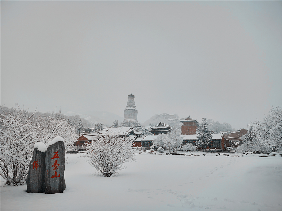 四月五台山迎来降雪,是文殊示喜,雪花漫天飞舞,圣洁的佛国净土_菩萨