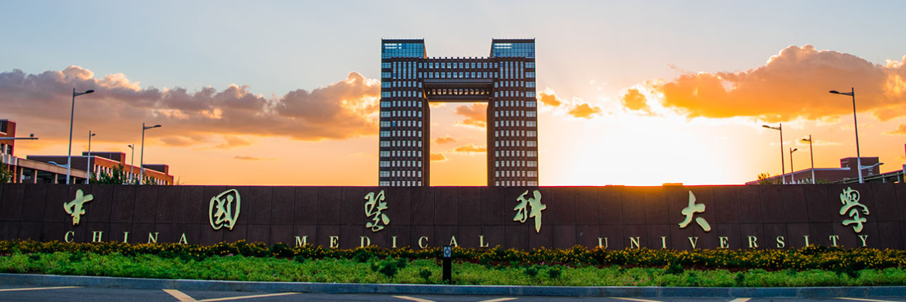 了解大学国子开头的中国医科大学