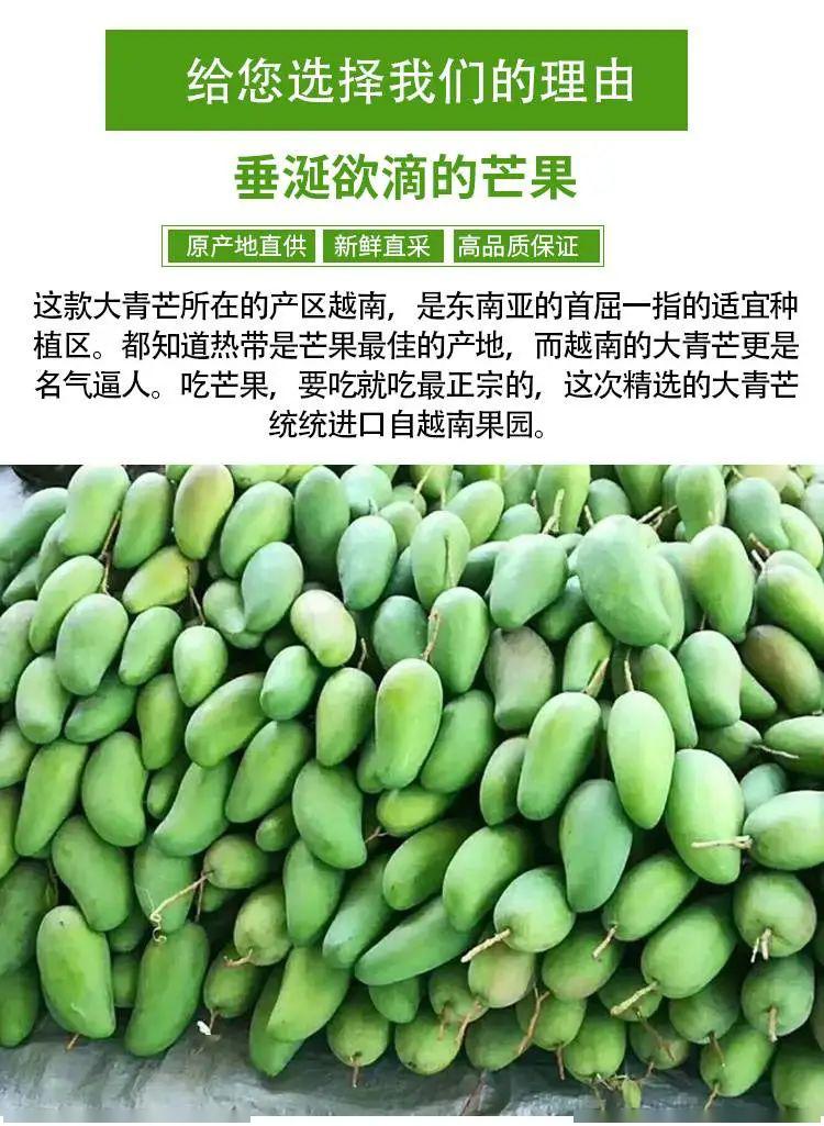 399元抢5斤越南大青芒肉多汁甜承包芒果控的胃