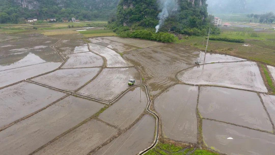 4月1日,柳南区引进柳州市金优缘农业科技有限公司在洛满镇福塘村开展