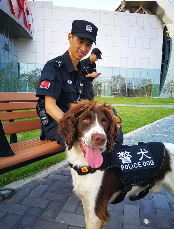 明明有颜值,偏要靠实力!蚌埠警犬来啦!