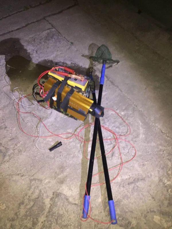 电抓鱼的人终于被抓了