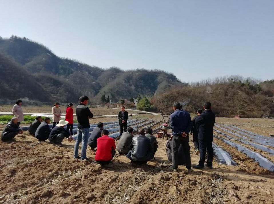 复工复产进行时回龙乡房县回龙乡黒獐村村民正在制作菌棒来源 今日