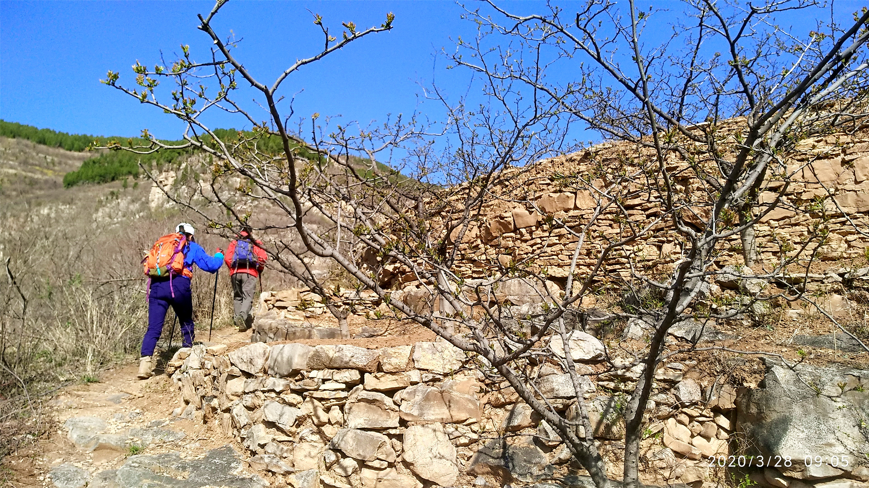 愚公嶺-金剛纂村-西峪-青桐山,原生態,超值