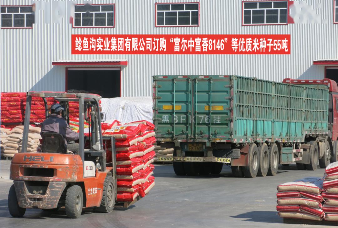 解决农民卖粮难 ——鲶鱼沟米业订购富尔农艺热销的富尔"中富香8146"