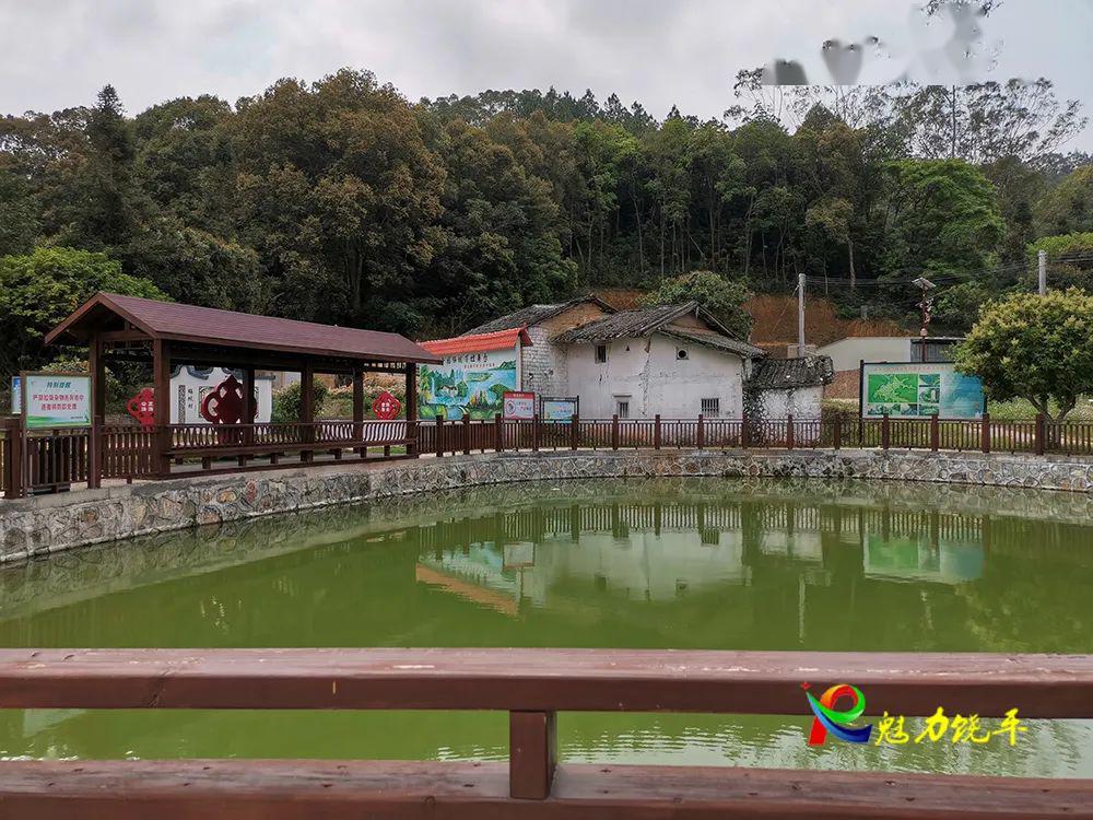 建饶镇锡坑村造血扶贫拔穷根脱贫攻坚显成效