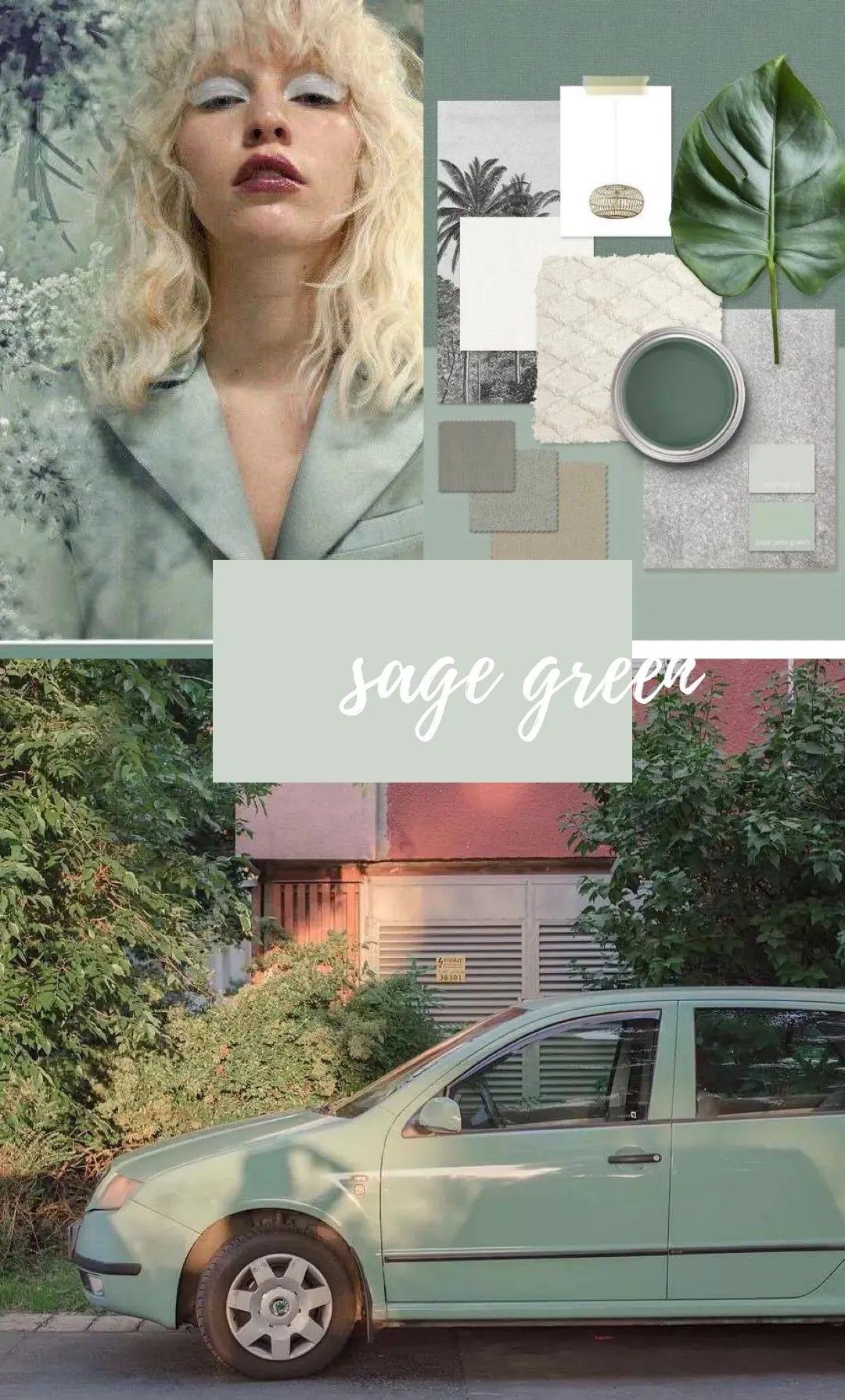 你 | 这个春天请穿绿色吧!_sage