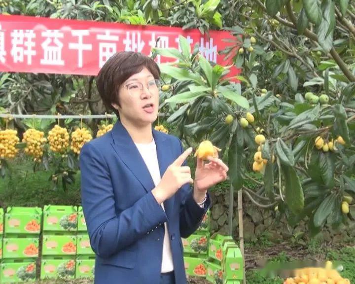 枇杷园,这位在对着手机屏幕进行"直播卖货"正是城北镇党委书记曾小丽