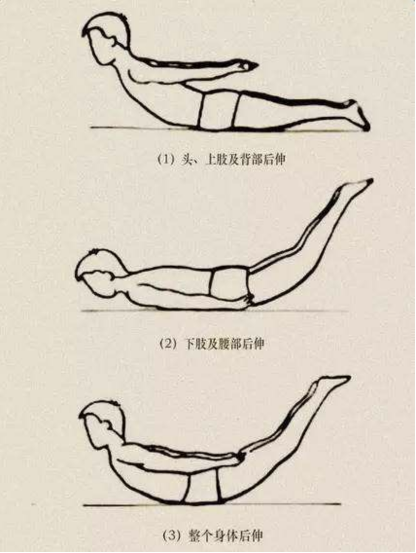 肩颈堵塞僵硬来几个瑜伽体式轻松搞定效果是按摩的10倍
