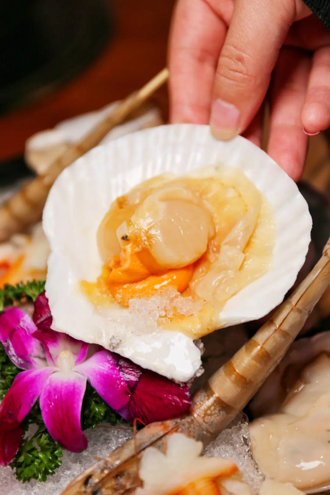 8折开吃!这家爆火的港式打边炉谁顶得住._扇贝