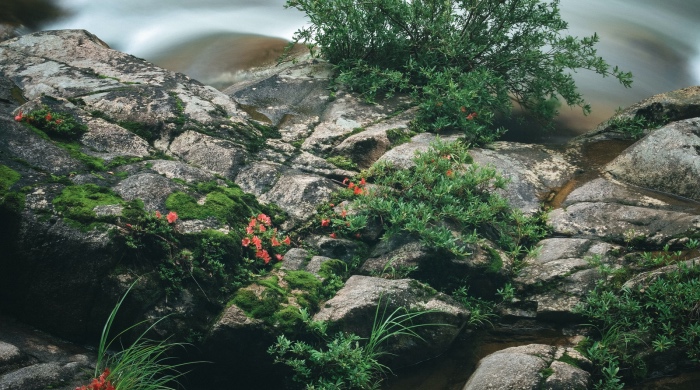 家电C2M今年加速落地，京品家电如何赋能产业链？-家电圈官网