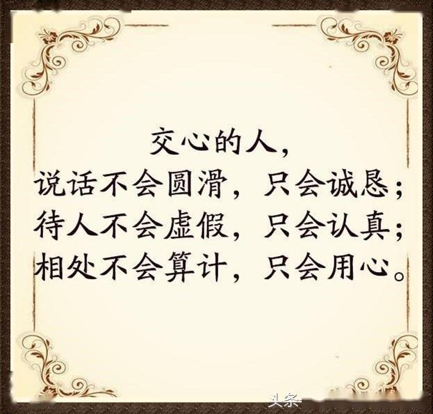 交心的人相处不会算计只会用心