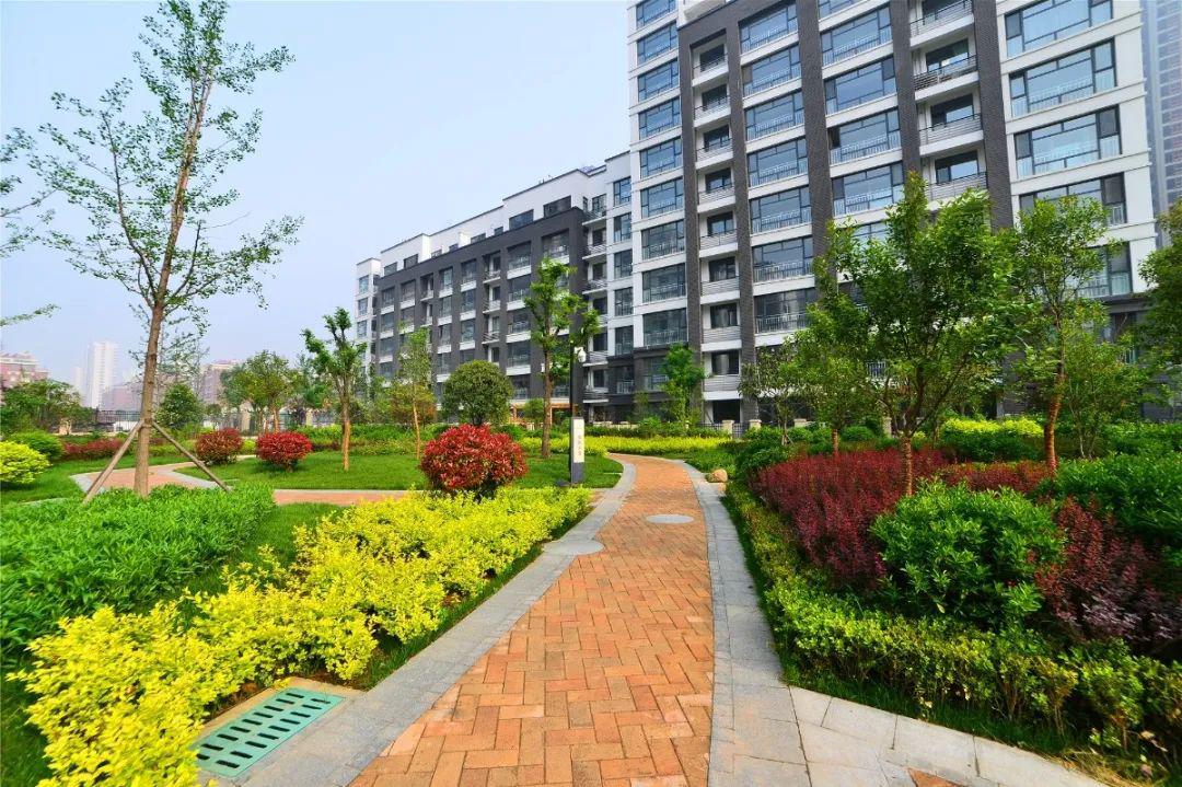 四月丨春已来花已开万物可期