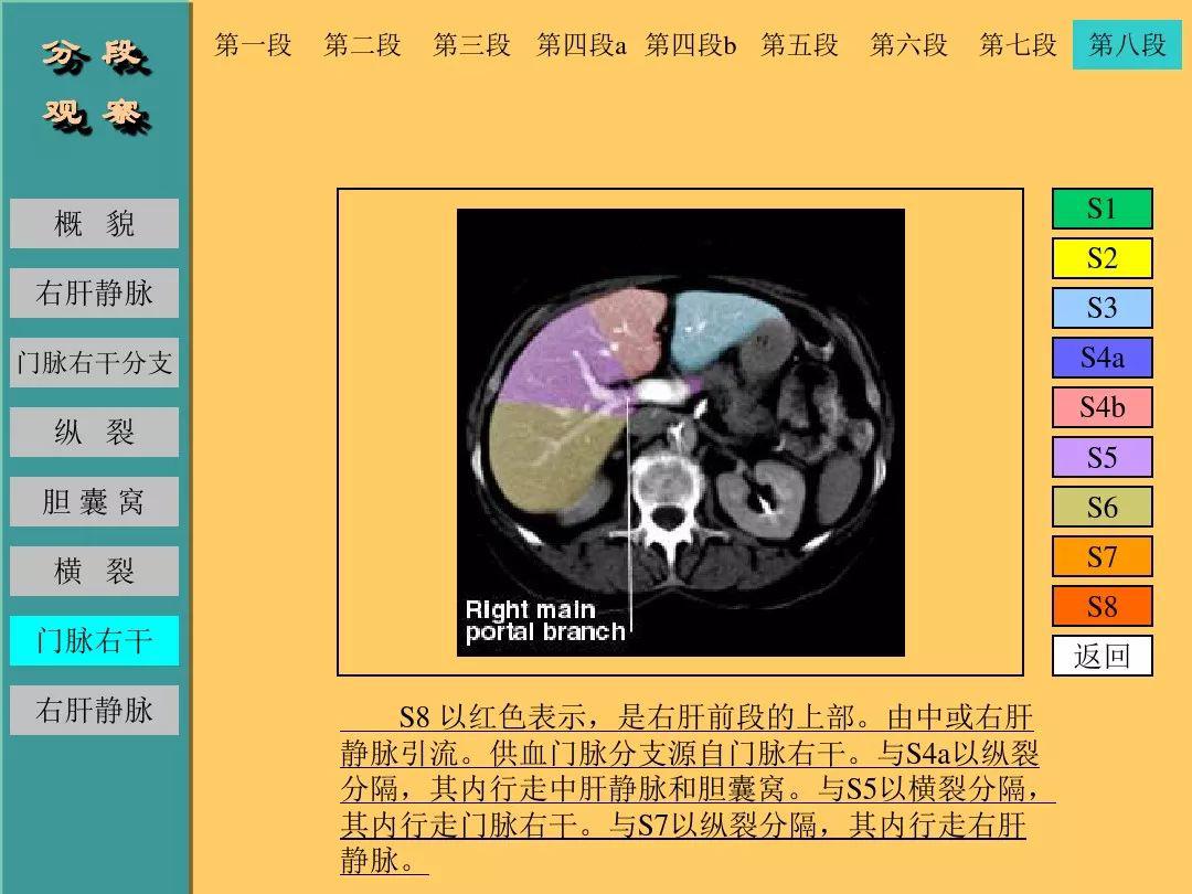 點擊收藏肝臟的ct斷層解剖詳解