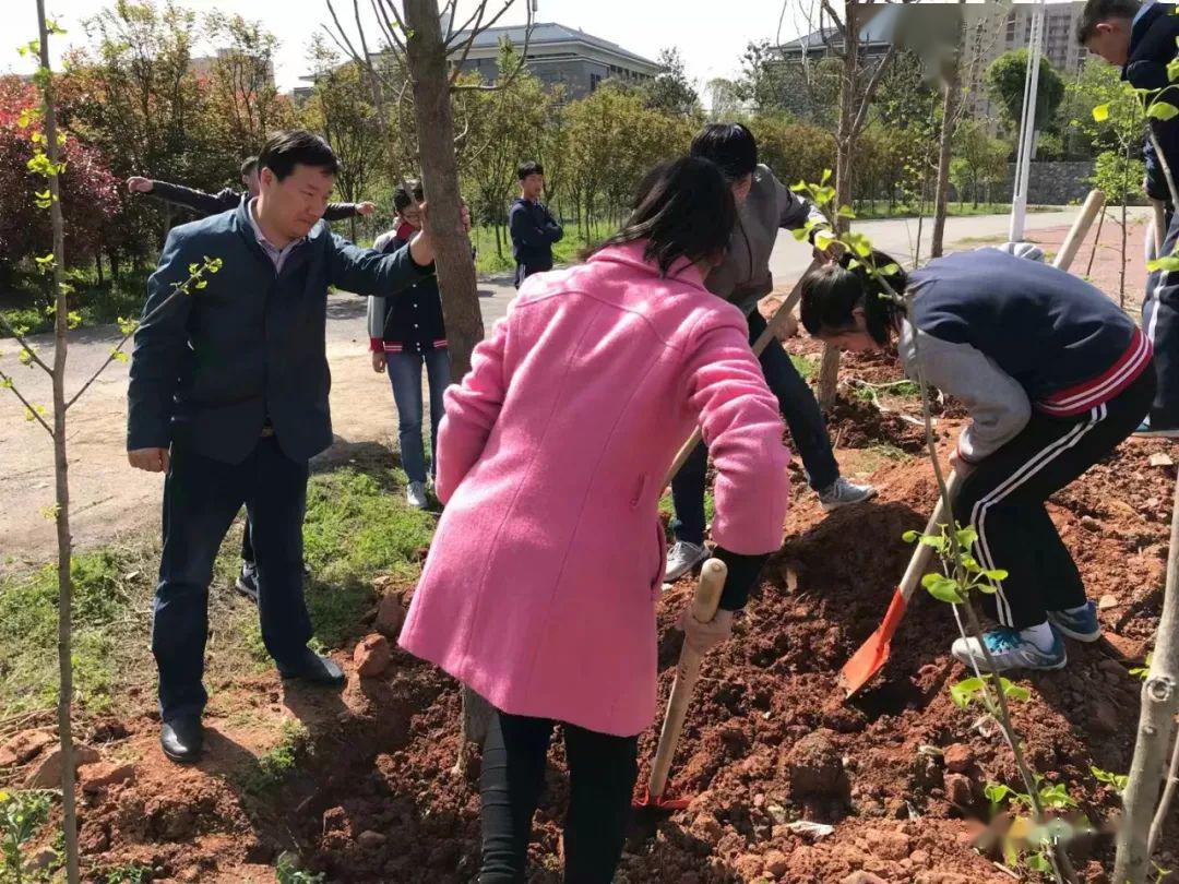 又是一年植树季今年花儿格外红