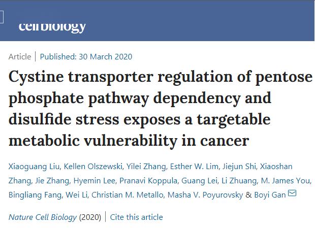 甘波谊课题组揭示肿瘤细胞胱氨酸摄入与葡萄糖依赖的重要联系