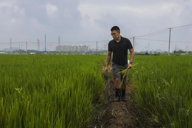 宁波90后农民我活成了别人最想活的样子