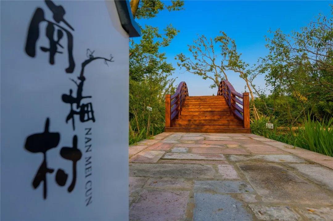 南梅村位于王店镇南,美丽的大横港横贯全村,区域内环境优美,空气清新