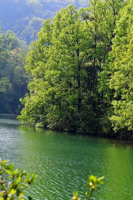 始建于1956年罗平白腊山下的玉带湖你去过吗