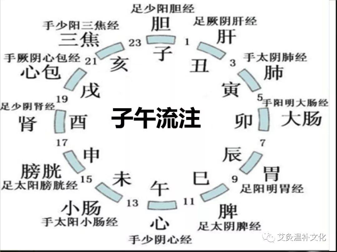 十二經絡是按照以下順序連接的,有歌訣幫助記憶:寅時氣血注於肺,卯時