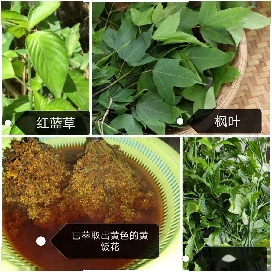 黑色,红色,紫色,黄色所使用的植物染料分别是枫叶,红蓝草,紫蓝草,黄饭