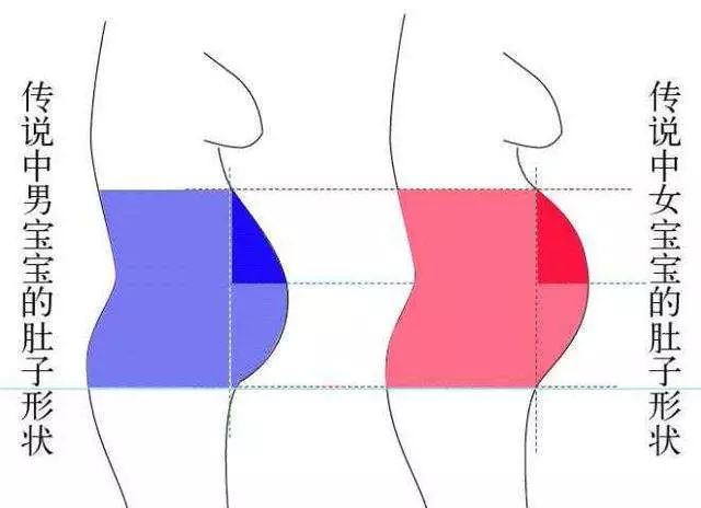 孕妇尖肚子和圆肚子对照图 教你怎么看孕妇肚子尖圆