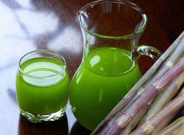 每天坚持饭后一杯铁皮石斛汁好处你意想不到