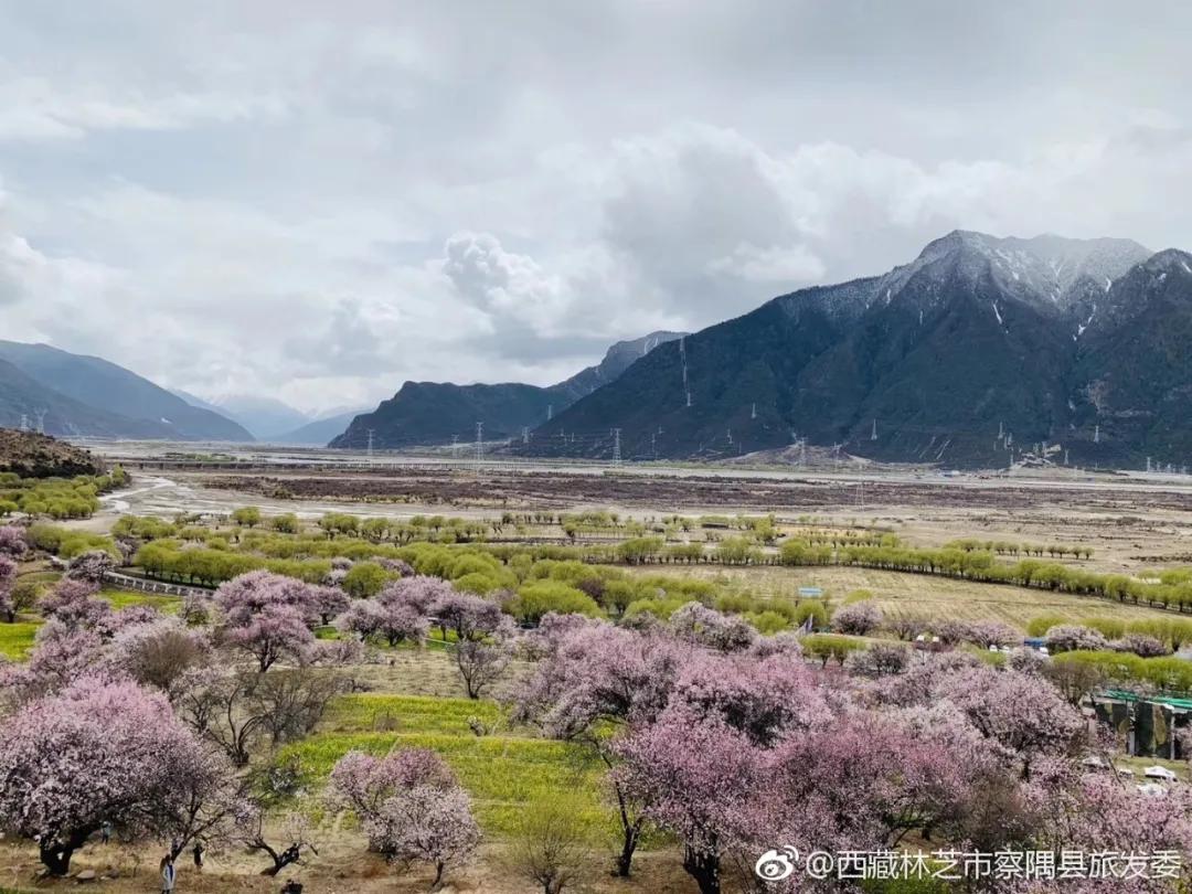 图源@西藏林芝市察隅县旅发委巴宜区嘎拉村就是林芝的"桃花村,也是