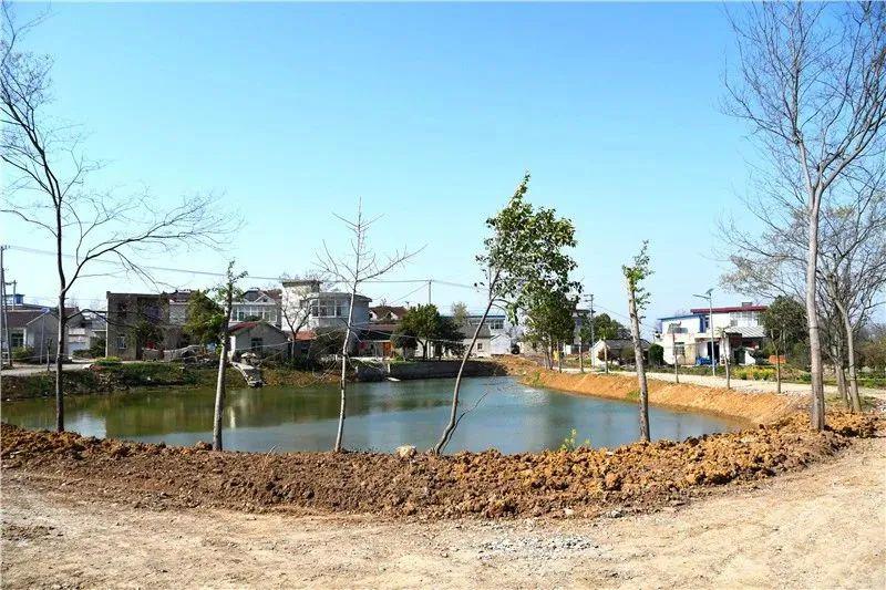 超赞巢湖市2019年度12个美丽乡村已全面复工建设中