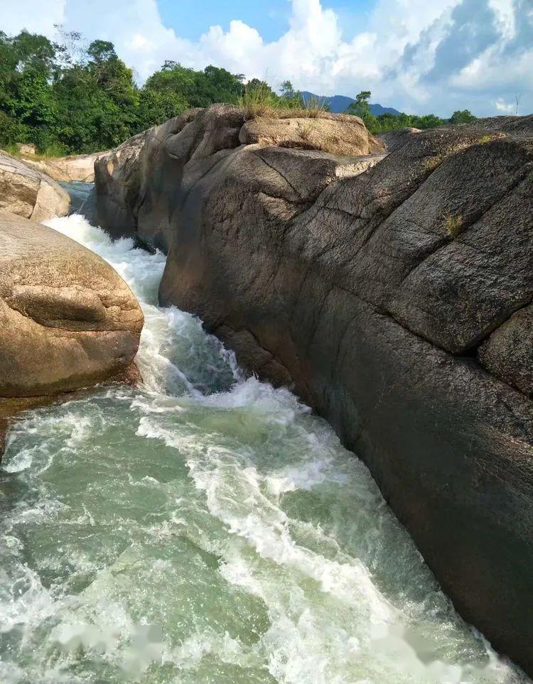 一处被遗忘的雨林溪谷——东方芭拉胡