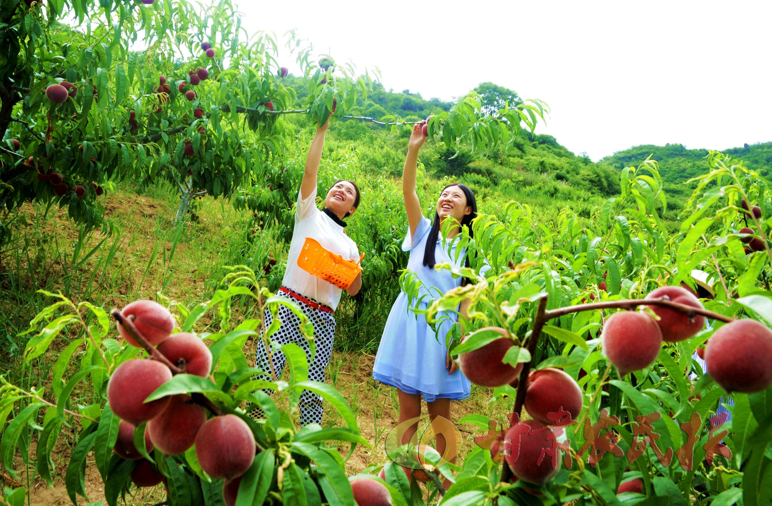原创 前景不错的几个行业,当今市场,适合自主创业的四个小项目