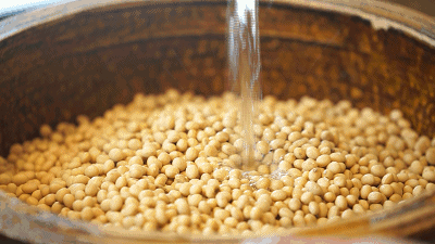 400_225gif 动态图 动图