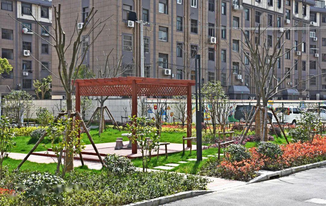 九亭新添10座街心花园!河畔,桥边,居民区内.春色四散待你拾取