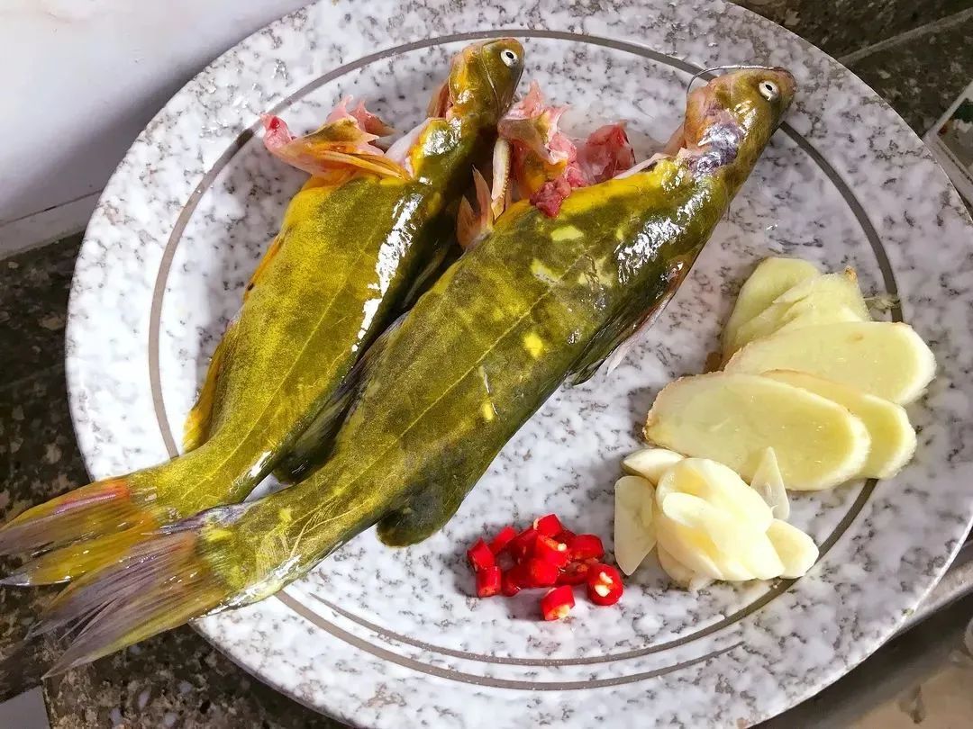 真的越黄越好吃吗挑选昂刺鱼必读攻略