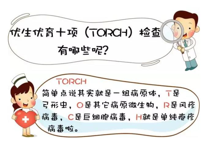 torch檢驗項目有哪些該如何解讀