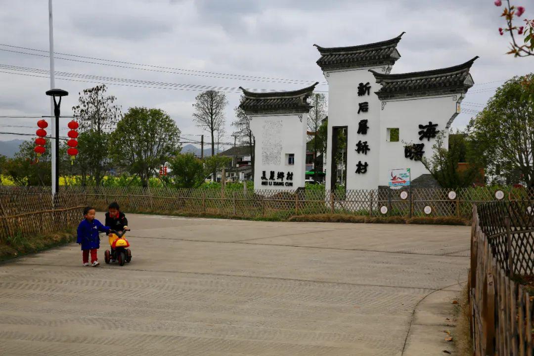 寻找社区最美春天⑦▕海曙集士港镇新后屠桥村