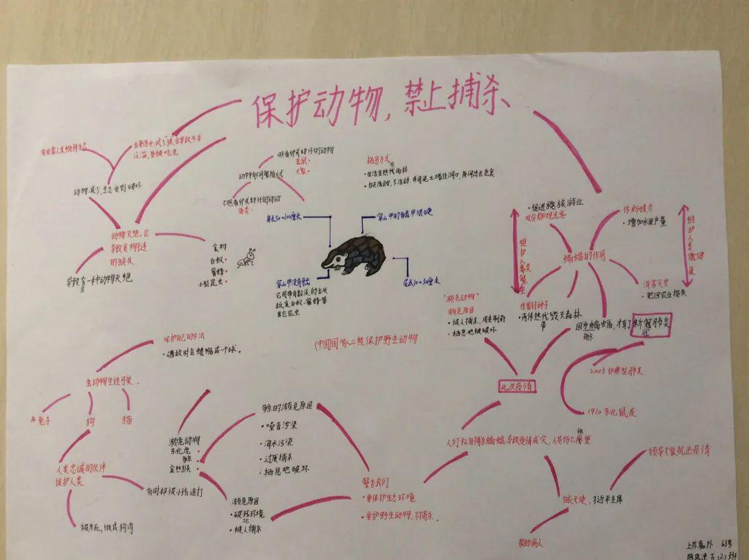 精彩课程五年级书香节活动野生动物调研