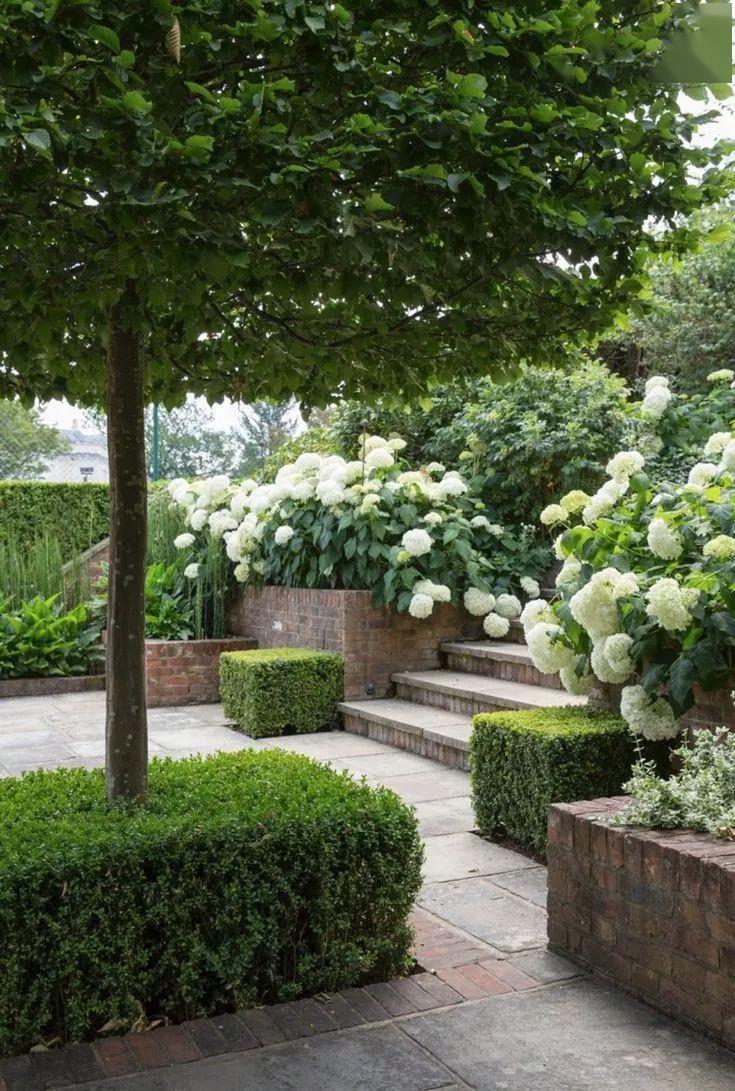 花草带给你的幸福感和治愈力