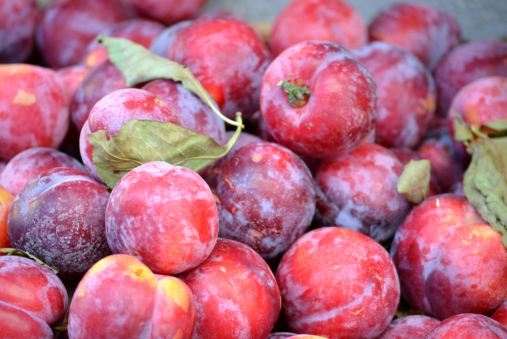 李子"四月李"一般在农历四月中旬上市,因而得名"四月李".