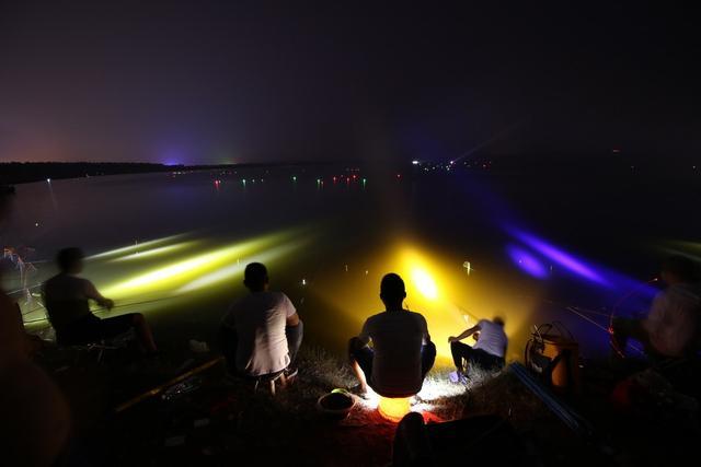 白天钓鱼得心应手,一到夜钓就傻眼,原因都在这里