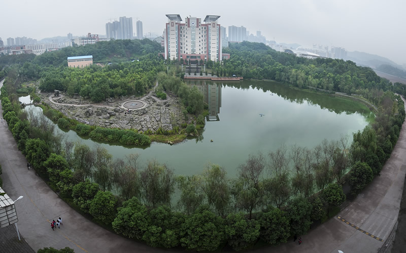 长江师范学院2020年艺术类专业招生简章