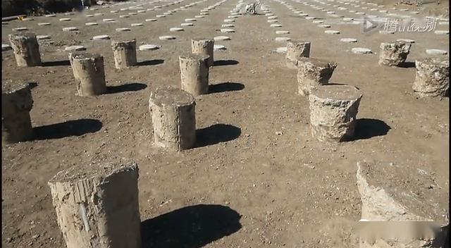 中铁五局cfg桩施工工艺视频详解不会的赶紧看