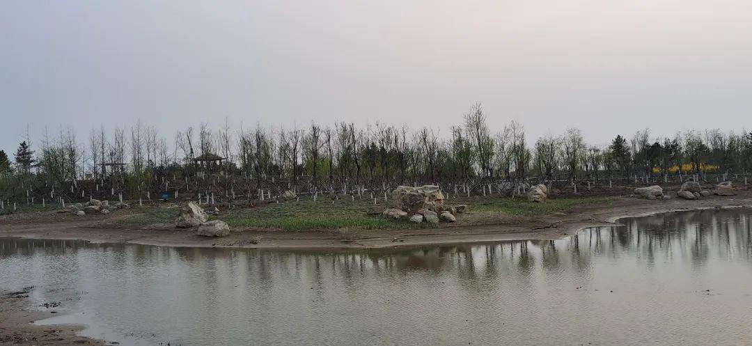 提醒满城区复兴公园复园了