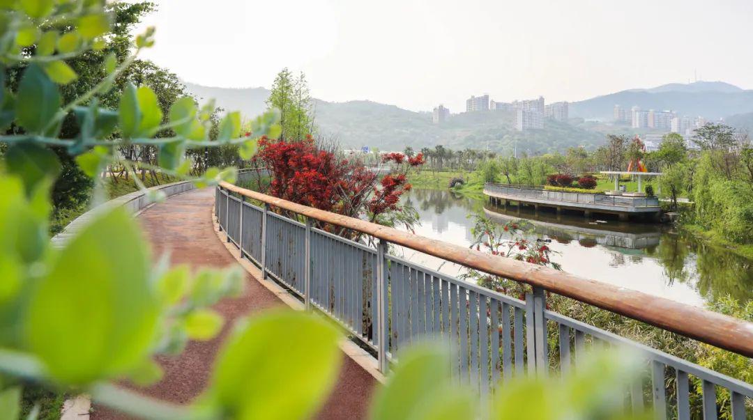 靓丽长乐人民公园绿色惹人醉